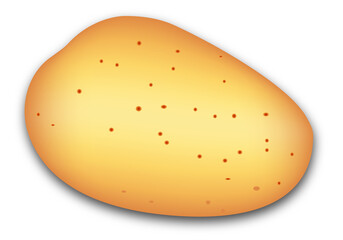 Patata amarilla sobre fondo blanco