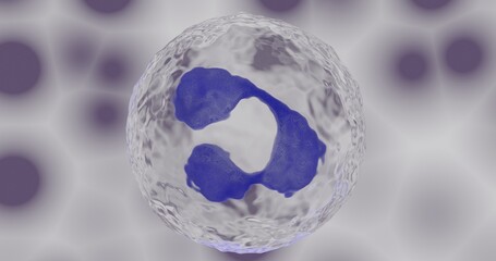 granulocyte in 3d illustration