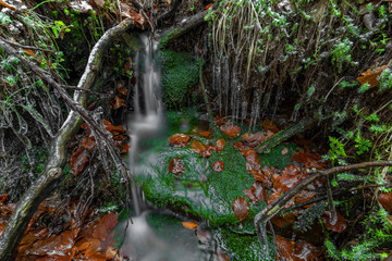 Small cold creek near Jedlova station in Luzicke mountains in snowy sunny day