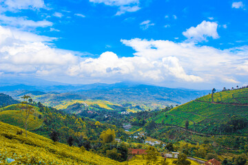 Naklejka premium landscape with mountains
