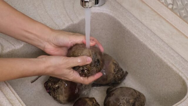 Female hands washing raw beets under running water in the sink