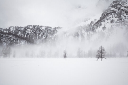 Paesaggio alpino invernale con nebbia