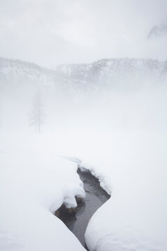 Torrente in paesaggio alpino con neve e nebbia