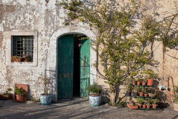 Facade of the entrance of an old country house on the Amalfi coast, illuminated by the sun, with a green wooden door ajar a climbing plant along the wall and flower pots on the outside.