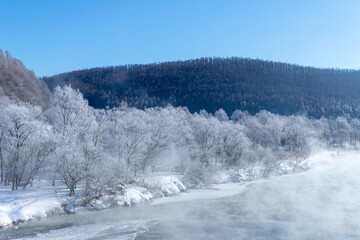 北海道冬の風景　富良野の樹氷