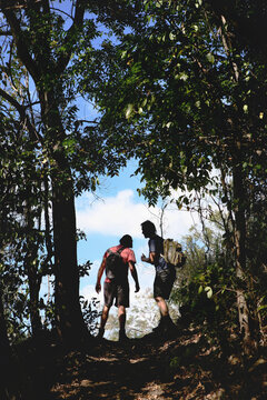 Two young escurionists walk along a trail of the Conway National Park, Airlie beach, Australia.