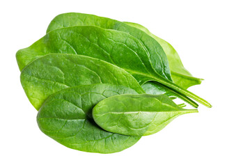 lot of fresh leaves of Spinach leafy vegetable cut out on white background