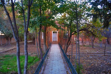 footpath in the park