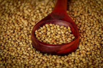 Coriander seed on wooden bowl background,coriander seeds in a wooden spoon on wooden background,dried coriander seed bowl