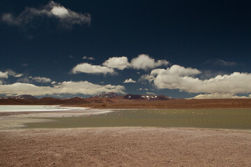 Alpine landscape. Panorama view of the arid desert, brown mountains, natural salt flats and lake, very high in the Andes cordillera, La Rioja, Argentina.