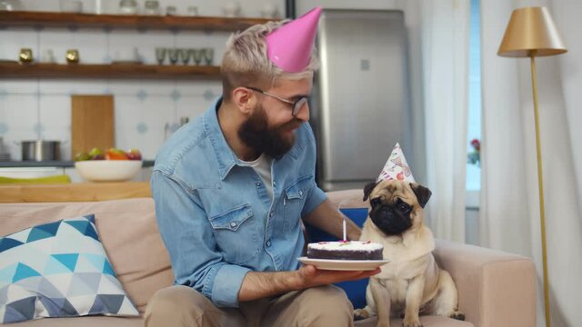 Hipster man and cute pug dog in part cap sitting on couch and blowing out candle on cake