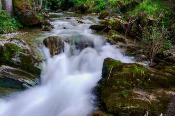 soft flowing torrent in a green forest in the summer