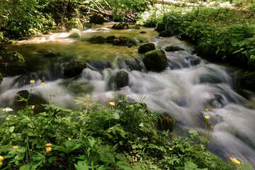 soft flowing water over many rocks with moos and plants