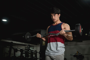 A young asian man of intermediate muscle development doing some EZ barbell curls at the gym.