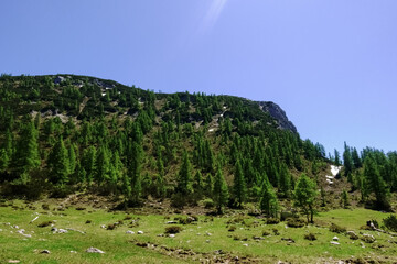 Fototapeta na wymiar steep mountain with green trees while hiking in the summer