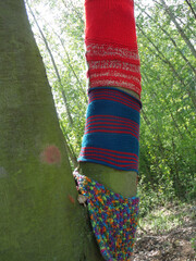 Baum mit gestrickten Socken und Schal. Mode für Bäume. Selbstgemachte Anziehsachen für Pflanzen....