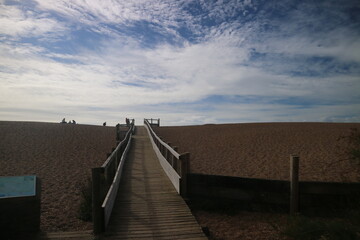 Fototapeta premium boardwalk to the beach