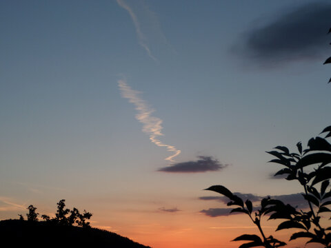 Silhouette von dunklen Str&auml;uchern vor einem blauen, lila, orangenem Himmel mit Sonnenuntergang. Chemtrail Flugzeug Kondensstreifen concept image .