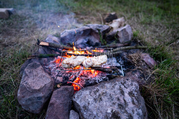 Fire camp in wilderness - Chicken cooking