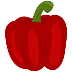 Vector bell pepper vegetable on white background