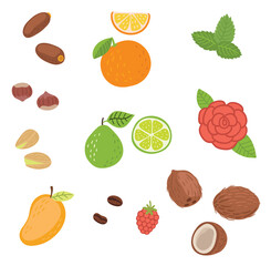 

nuts and fruits vector set