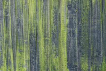 gray green wooden background of old worn boards in the wall of the fence