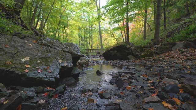 Water flows around boulders on its way down a forested valley