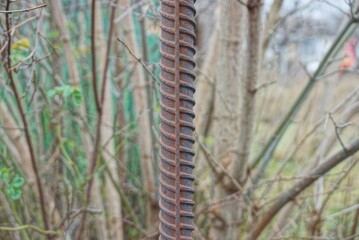 one brown rusty old iron rebar on the street against the background of gray tree branches