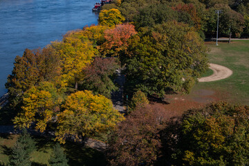 Obraz premium Colorful Trees at Queensbridge Park during Autumn along the East River in Long Island City Queens New York