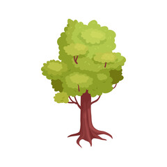 Isometric Branchy Tree Composition