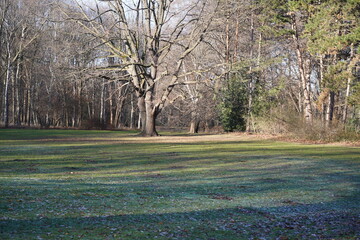 Winter im Großen Tiergarten in Berlin 