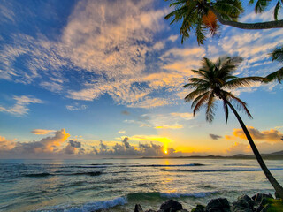 Majestic bright sunrise over the ocean with coconut tree