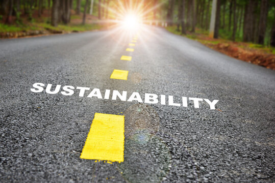 Road to sustainability development . Challenge with success concept and natural background idea