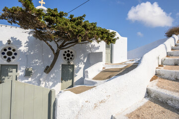 Small Greek chapel and pine tree. Santorini, Greece