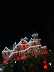 Fototapeta premium christmas tree at night