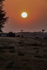 Beautiful view of sunset in sand dunes of Rajasthan