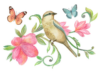 nice clever bird sitting on fancy branch with delicate pink flowers surrounded by flying butterflies. watercolor painting