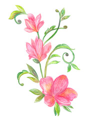 Delicate floral ornament with abstract pink flowers and curly twigs. watercolor painting