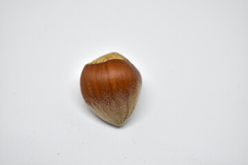 hazelnuts on a white background