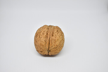 walnut on white background