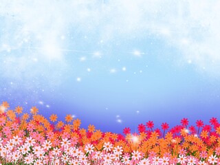 Fototapeta na wymiar blue sky and flowers in garden.
