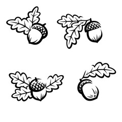 Acorns set. Collection icon acorns. Vector © VKA