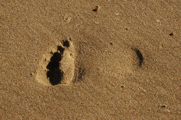 A lone footprint on a wet and clean beach