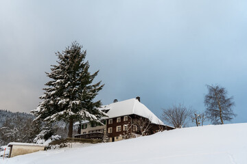 Fototapeta na wymiar Winter in Hinterzarten im Schwarzwald