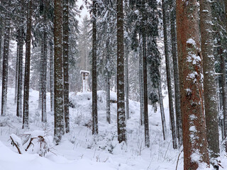 Winter in Hinterzarten im Schwarzwald