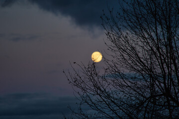 Mystische, geheimnisvolle Abendstimmung, Landschaft mit Wolken, Vollmond, &Auml;sten und Abendrot 