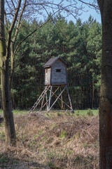 Fototapeta na wymiar Wooden deer stand looks like elevated tiny house with ladder situated on small glade in the middle of forest, blue sky and sunny