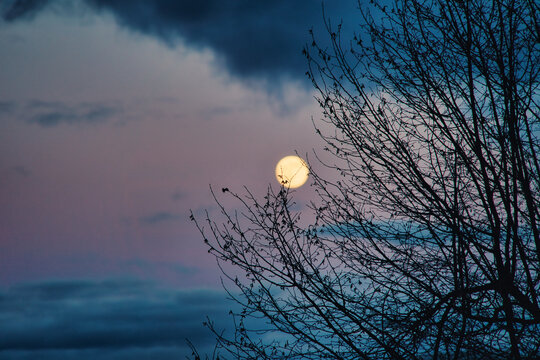 Mystische, geheimnisvolle Abendstimmung, Landschaft mit Wolken, Vollmond, &Auml;sten und Abendrot w&auml;hrend der Rauhn&auml;chte