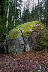 Wilderness woodland scene. A large boulder stone with a deep crack covered with moss.