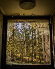 window in the woods